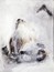 TELMA ALVES - Sem Ttulo - 1998 - Acrilica sobre tela - 80 x 60 cm.jpg